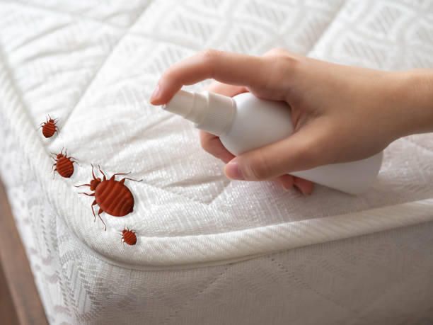 Best Cockroach Control  in Martinez, CA